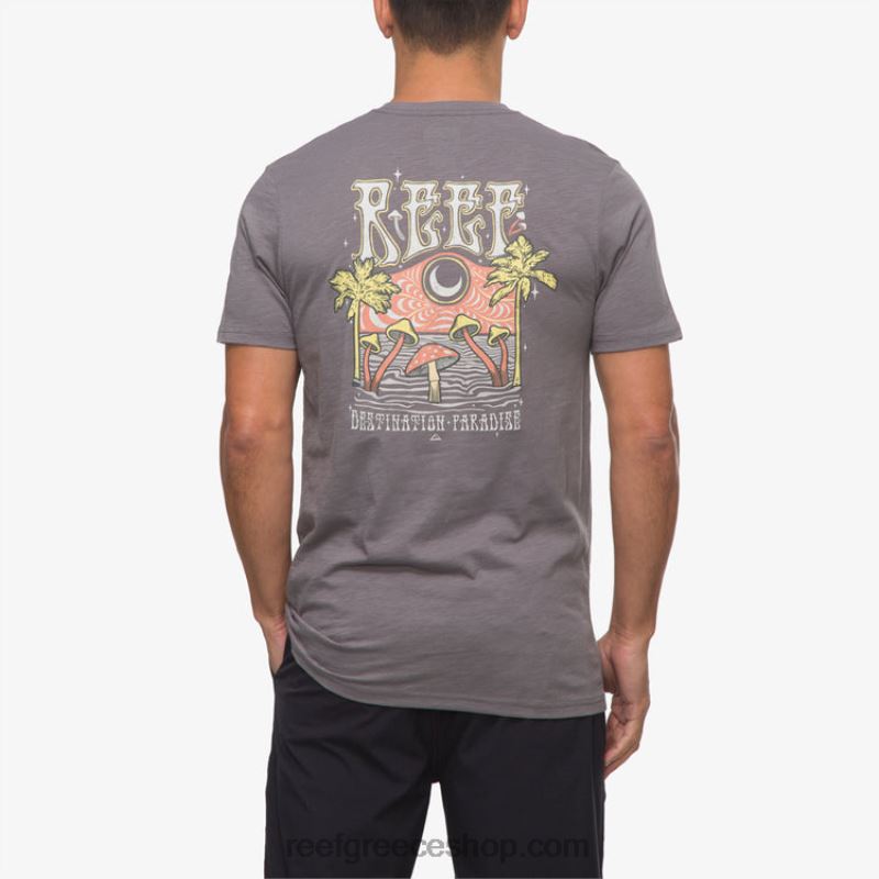 ceb3cf81_reef_cebacebfcebdcf84cebfcebcceaccebdceb9cebacebf_cebccf80cebbcebfcf85ceb6ceaccebaceb9_ceb1cf86ceafcf83ceb1cf82_cf.jpg γρ Reef κοντομάνικο μπλουζάκι αφίσας παραδείσου άνδρες ήσυχη σκιά 044RT574 - Image 1