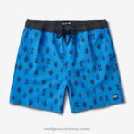 γρ Reef billy volley short 17" άνδρες γαλλικό μπλε 044RT703 - Image 3