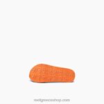 γρ Reef μικρή θέα στο νερό παιδιά smoothie 044RT864 - Image 4