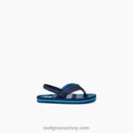 γρ Reef μικρό αχί παιδιά ρίγες βαθιάς θάλασσας 044RT825 - Image 6