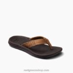 γρ Reef Σάντα ανα γυναίκες εσπρέσο 044RT151