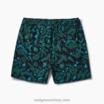 γρ Reef Everett board short 17" άνδρες χαβιάρι 044RT716 - Image 5