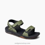 γρ Reef fanning baja άνδρες τσίχλα ελιάς 044RT406