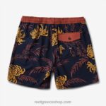 γρ Reef John volley short 17" άνδρες νυχτερινός ουρανός 044RT695 - Image 6