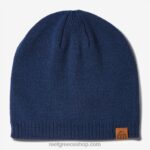 γρ Reef marty skull beanie άνδρες διακριτικά μπλε 044RT813